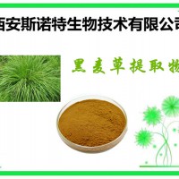 黑麥草提取物 黑麥草粉 生產廠家 價格優惠