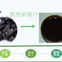 黑棗浸膏  黑棗濃縮液 斯諾特生物 廠家供應 可定制比重