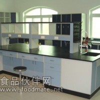 通風柜、藥品柜、器皿柜等全套實驗室家具生產