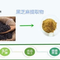 芝麻素 98%黑芝麻提取物 源頭 質量穩定