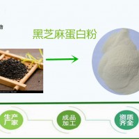 黑芝麻肽粉  蛋白肽粉 全水溶 80% 長期供應(yīng) 量大從優(yōu)