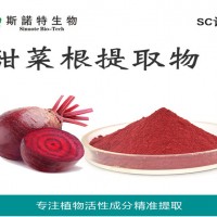 甜菜根粉 小甜菜根粉 營(yíng)養(yǎng)豐富 紅色精細(xì)粉