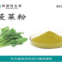 食品級菠菜粉 菠菜汁粉 速溶菠菜粉