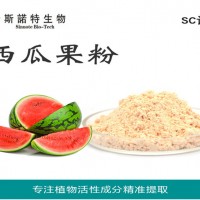 西瓜果粉 西瓜粉 西瓜水果粉廠家