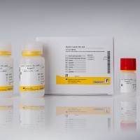 酶法檢測檸檬酸（即用型液體劑型檸檬酸試劑盒）