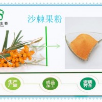 沙棘果粉99% 沙棘粉 速溶廠家包郵 沙棘提取物 固體飲料