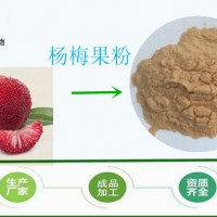斯諾應： 楊梅果粉 楊梅速溶粉 食品飲料添加 現貨供應