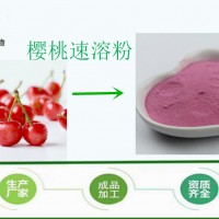 針葉櫻桃速溶粉 源頭工廠 針葉櫻桃粉 現(xiàn)貨含運(yùn)費(fèi)