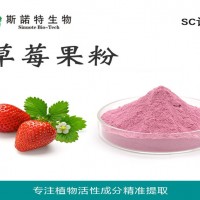 草莓粉 草莓濃縮粉 草莓果粉