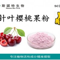 針葉櫻桃果粉 針葉櫻桃果提取物維C17%