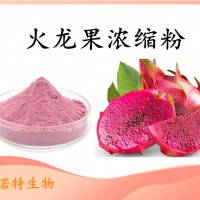 火龍果速溶粉 固體飲料原料 火龍果粉 量大從優
