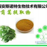 茼蒿提取物  茼蒿原料提取 斯諾特生物 發貨快