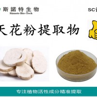天花粉提取物 天花速溶粉 食品級(jí)天花粉