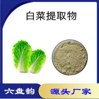 白菜提取物 植物萃取原料 精細粉末 噴霧干燥