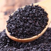 黑芝麻速溶粉 代工食品
