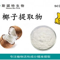 椰子提取物 椰子濃縮粉 椰子汁粉