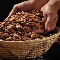 可可豆重金屬檢測項目,可可豆農殘檢測報告