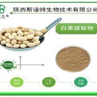 白果提取物 銀杏果粉 速溶濃縮 廠家現貨 量大批發