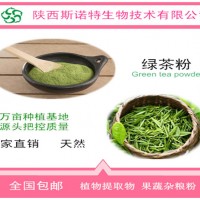 綠茶粉 綠茶提取物 富含茶多酚/兒茶素/表沒食子素