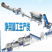 凈菜加工生產廠家 連續式凈菜加工流水線 加工凈菜的機器