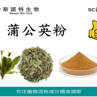 蒲公英粉 蒲公英原粉 蒲公英全粉