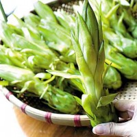 霸王花檢測報告,霸王花農(nóng)藥殘留檢測機(jī)構(gòu),霸王花重金屬檢測項(xiàng)目