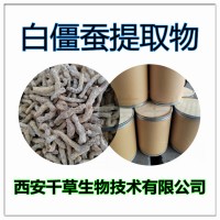 白僵蟲提取物白僵蟲濃縮粉白僵蟲浸膏粉炙白僵蠶粉