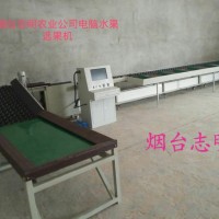山東煙臺志明牌蘋果自動電腦清洗分選機