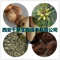 貓人參提取物貓人參濃縮粉貓人參浸膏粉沙梨藤粉