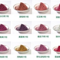 黑加侖粉 黑加倫果粉 花青素25% 固體飲料原料 廠家