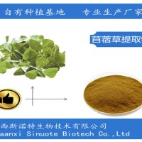 苜蓿提取物 苜蓿草粉 99%規(guī)格 天然好原料
