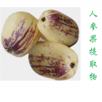 斯諾特人參果提取物現貨資質齊全