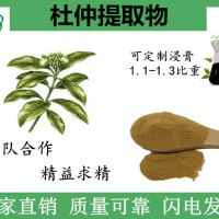 杜仲提取物 杜仲萃取粉 杜仲綠原酸