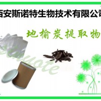 地楡炭提取物 地榆提取物 根部提取 批量銷售
