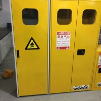 信凱科技專業出售防火防爆雙氣瓶柜