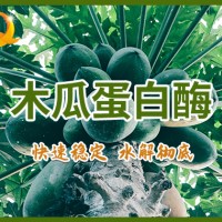 嫩肉粉松肉粉商用腌料豬肉牛肉木瓜蛋白酶復合調味料