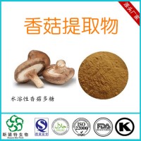 香菇提取物 工廠直銷 香菇粉原料