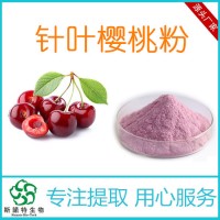 針葉櫻桃粉 17%VC 針葉櫻桃果粉 植提廠家專業(yè)供應(yīng)
