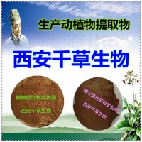 網(wǎng)紗菇提取物 定做網(wǎng)紗菇濃縮浸膏