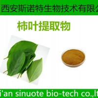 柿葉提取物  原料提取加工 斯諾特廠家