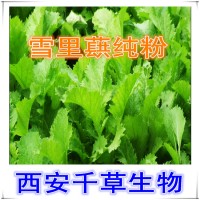 雪里蕻天然提取物粉 雪里蕻濃縮粉 定做雪里蕻流浸膏顆粒