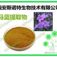 馬藍(lán)提取物 10:1 青黛粉 斯諾特生物 質(zhì)優(yōu)