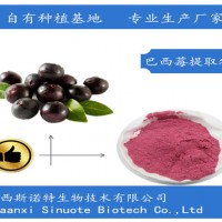 巴西莓提取物 巴西莓粉99% 西北植提企業 含運費