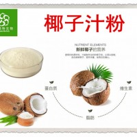 椰子粉 椰子漿粉 椰子汁粉 速溶粉 99%天然植物提取物