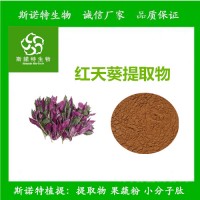 紅天葵提取物 紫背天葵粉 新品銷售 包郵發貨