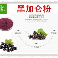 黑加侖粉 黑加侖提取物 花青素 花色苷25% 天然飲料原料