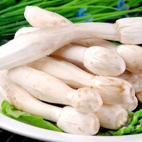 雞腿菇純粉 雞腿菇原粉 雞腿菇粉價格 包郵