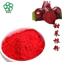 甜菜根粉 紅甜菜根提取物 營(yíng)養(yǎng)豐富 口感好 斯諾特廠家