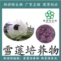 【新食品原料】雪蓮培養(yǎng)物 愈傷組織 天山雪蓮
