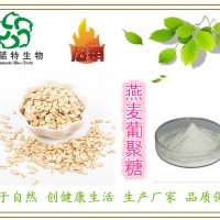 ：燕麥葡聚糖 燕麥β-葡聚糖60%-70% 斯諾特廠家